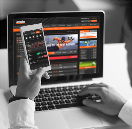 What are the basics of online sports betting?